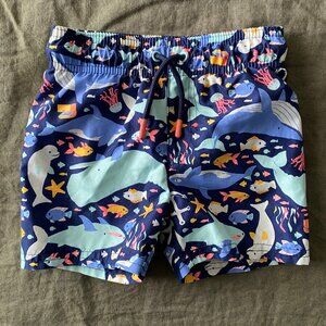 Cat & Jack 12 month swimming trunks